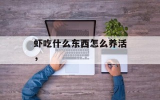 虾吃什么东西怎么养活，