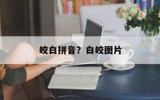 皎白拼音？白皎图片