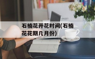 石楠花开花时间(石楠花花期几月份)