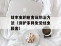 蛀木虫的危害及防治方法（保护家具免受蛀虫侵害）