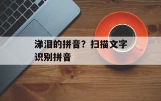 涕泪的拼音？扫描文字识别拼音