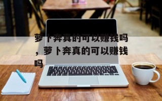 萝卜奔真的可以赚钱吗，萝卜奔真的可以赚钱吗