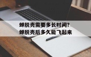 蝉脱壳需要多长时间？蝉脱壳后多久能飞起来