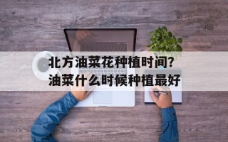 北方油菜花种植时间？油菜什么时候种植最好