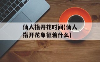 仙人指开花时间(仙人指开花象征着什么)