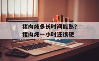 猪肉炖多长时间能熟？猪肉炖一小时还很硬