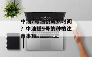 中油7号油桃成熟时间？中油蟠9号的种植注意事项