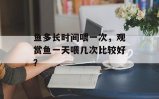 鱼多长时间喂一次，观赏鱼一天喂几次比较好？