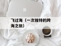 飞过海（一次独特的跨海之旅）