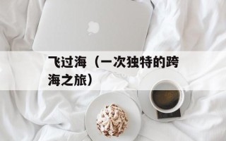 飞过海（一次独特的跨海之旅）