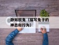 静如脱兔（描写兔子的神态和行为）