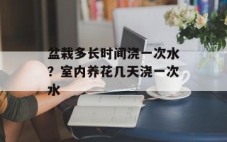 盆栽多长时间浇一次水？室内养花几天浇一次水