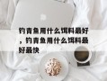 钓青鱼用什么饵料最好，钓青鱼用什么饵料最好最快