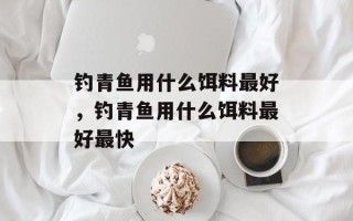 钓青鱼用什么饵料最好，钓青鱼用什么饵料最好最快