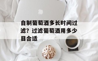 自制葡萄酒多长时间过滤？过滤葡萄酒用多少目合适