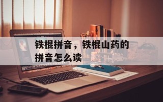 铁棍拼音，铁棍山药的拼音怎么读