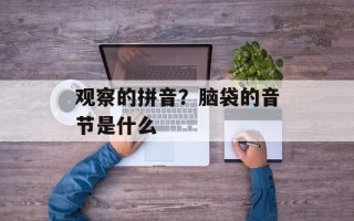 观察的拼音？脑袋的音节是什么