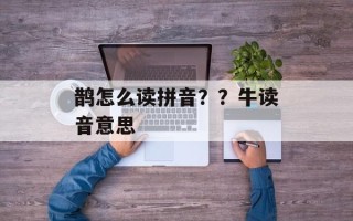 鹊怎么读拼音？？牛读音意思