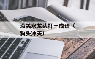 没关水龙头打一成语（狗头冲天）