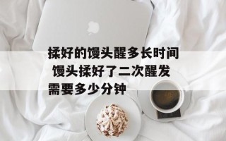 揉好的馒头醒多长时间 馒头揉好了二次醒发需要多少分钟