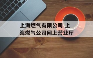 上海燃气有限公司 上海燃气公司网上营业厅