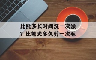 比熊多长时间洗一次澡？比熊犬多久剪一次毛