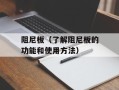 阻尼板（了解阻尼板的功能和使用方法）