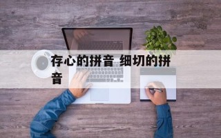 存心的拼音 细切的拼音