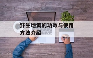野生地黄的功效与使用方法介绍