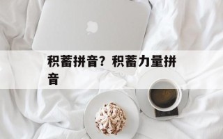 积蓄拼音？积蓄力量拼音