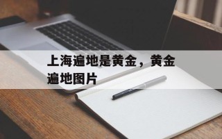 上海遍地是黄金，黄金遍地图片