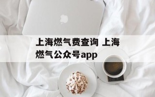 上海燃气费查询 上海燃气公众号app