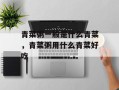 青菜粥一般是什么青菜，青菜粥用什么青菜好吃