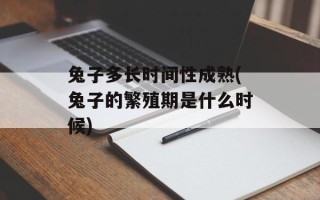 兔子多长时间性成熟(兔子的繁殖期是什么时候)