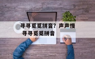 寻寻觅觅拼音？声声慢 寻寻觅觅拼音