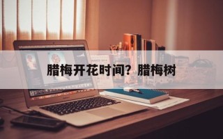 腊梅开花时间？腊梅树