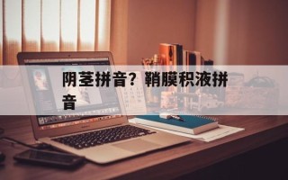 阴茎拼音？鞘膜积液拼音