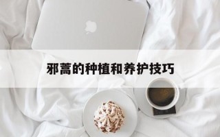 邪蒿的种植和养护技巧
