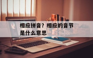 相应拼音？相应的音节是什么意思