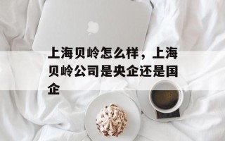 上海贝岭怎么样，上海贝岭公司是央企还是国企