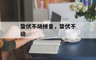 蛰伏不动拼音，蛰伏不动