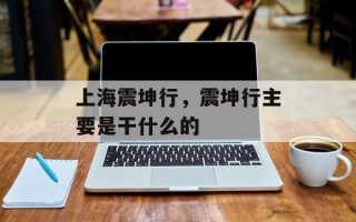 上海震坤行，震坤行主要是干什么的
