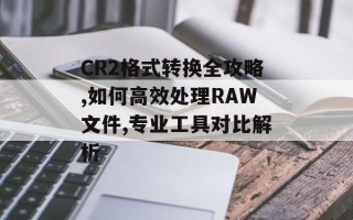 CR2格式转换全攻略,如何高效处理RAW文件,专业工具对比解析