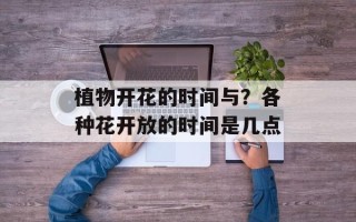 植物开花的时间与？各种花开放的时间是几点