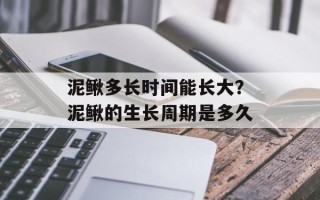 泥鳅多长时间能长大？泥鳅的生长周期是多久