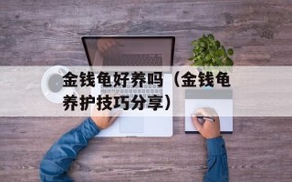 金钱龟好养吗（金钱龟养护技巧分享）