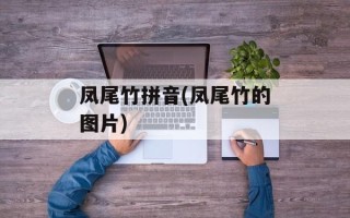凤尾竹拼音(凤尾竹的图片)