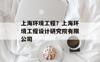上海环境工程？上海环境工程设计研究院有限公司