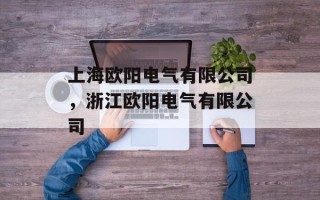 上海欧阳电气有限公司，浙江欧阳电气有限公司