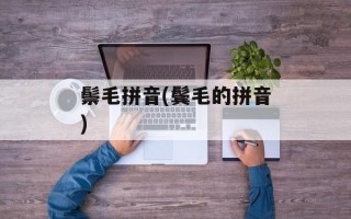 鬃毛拼音(鬓毛的拼音)